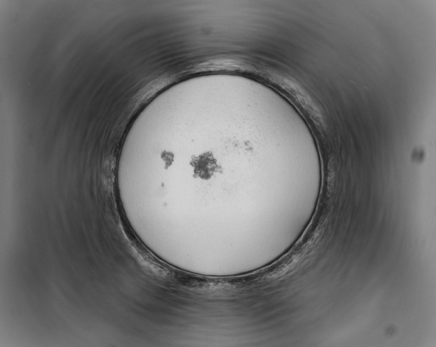 X0000099501233200806121408