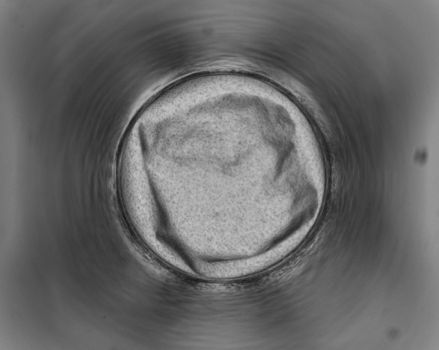 X0000099501234200806121408