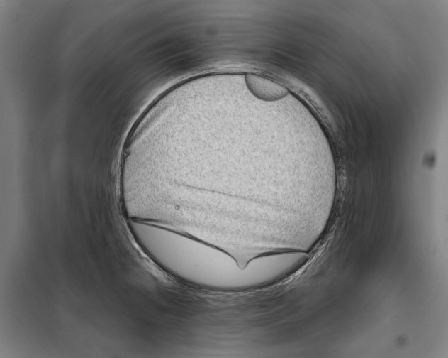 X0000099501236200806121408