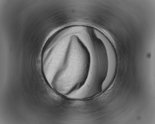 X0000099501238200806121408