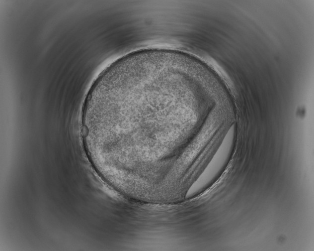 X0000099501240200806121408