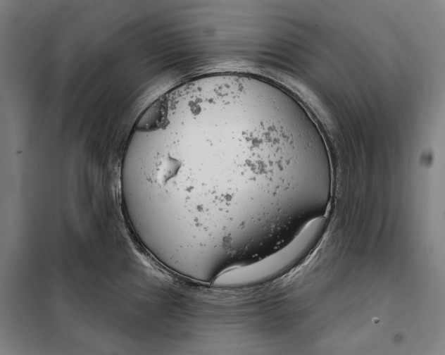 X0000099501241200806121408