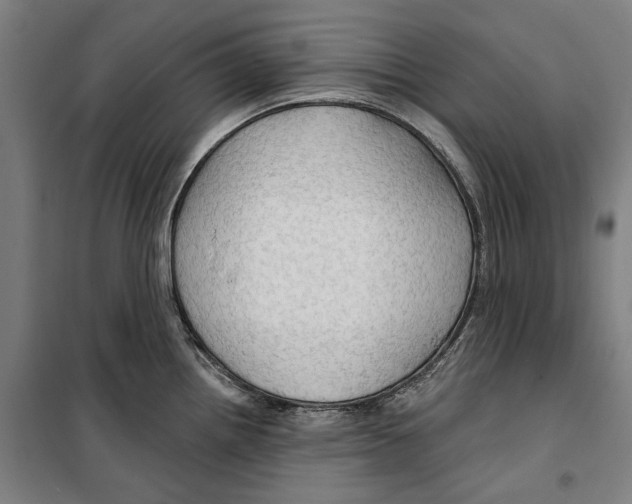 X0000099501242200806121408