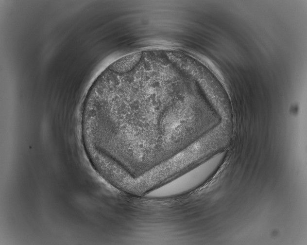 X0000099501243200806121408