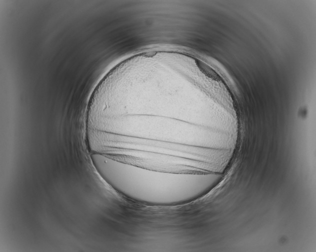 X0000099501244200806121408