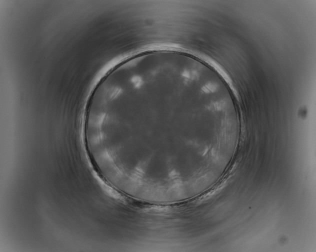 X0000099501245200806121408