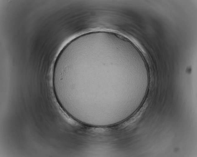 X0000099501246200806121408