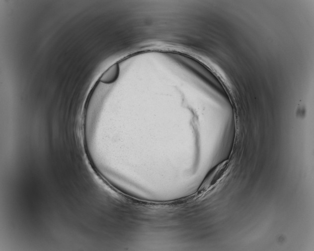 X0000099501247200806121408