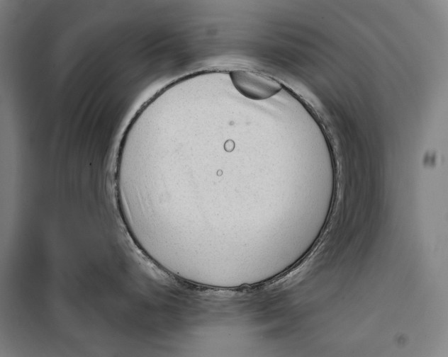 X0000099501248200806121408