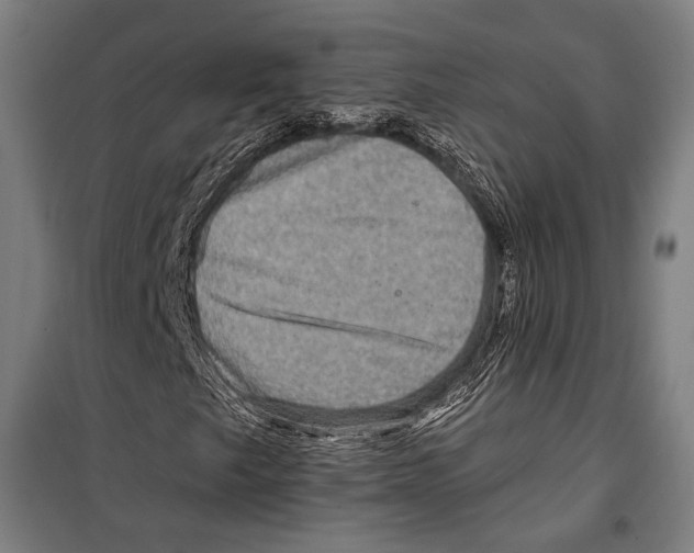 X0000099501249200806121407