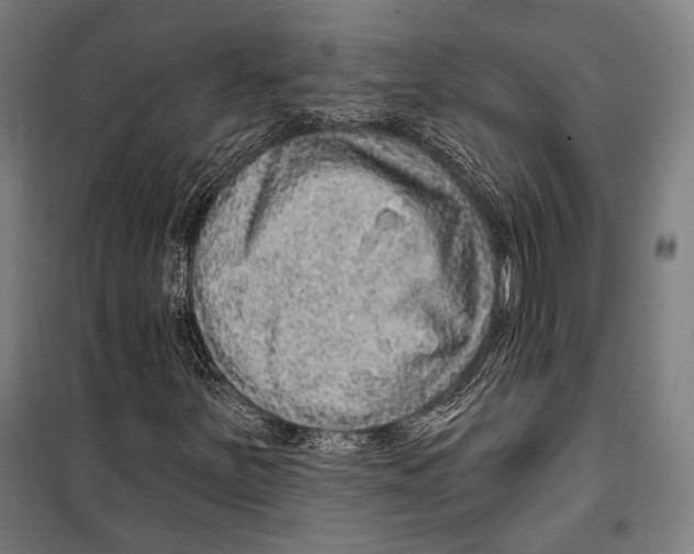 X0000099501251200806121407