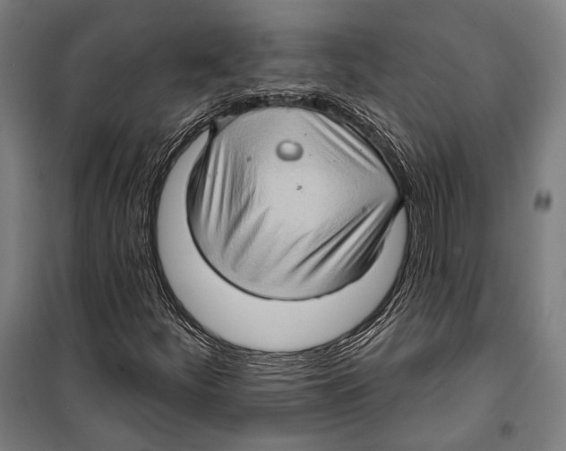 X0000099501252200806121407