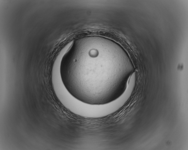 X0000099501253200806121407