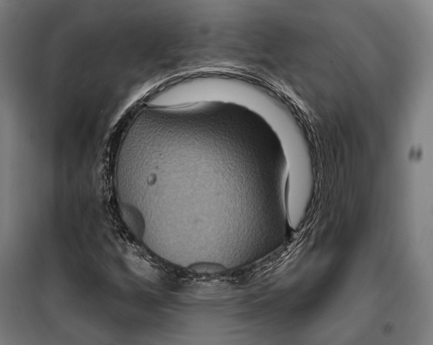 X0000099501256200806121407