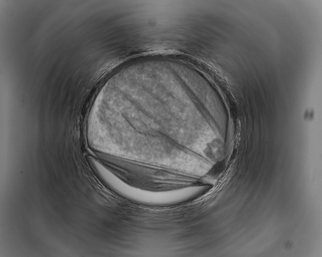 X0000099501257200806121407