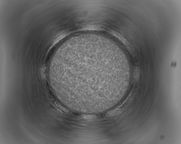 X0000099501258200806121407