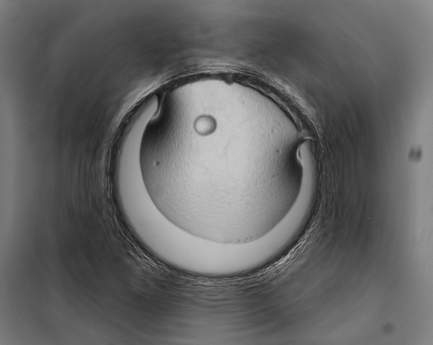 X0000099501261200806121407