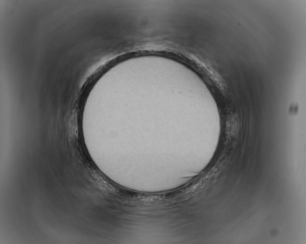 X0000099501262200806121407