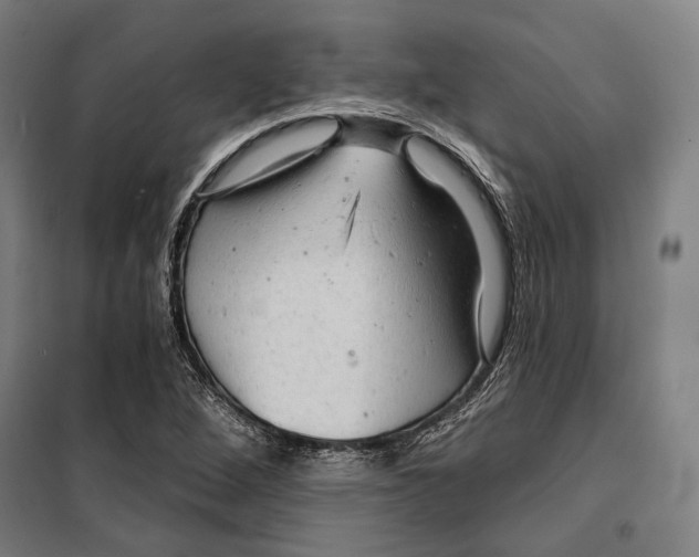 X0000099501264200806121407