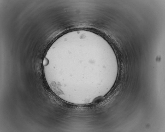 X0000099501265200806121407