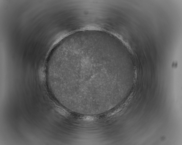 X0000099501266200806121407