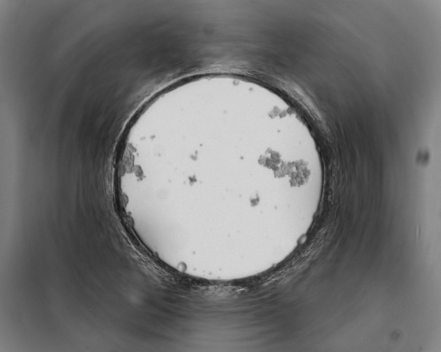 X0000099501268200806121407