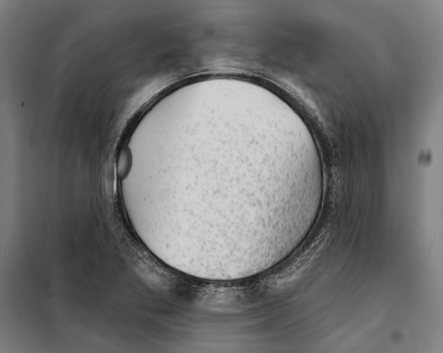 X0000099501269200806121407