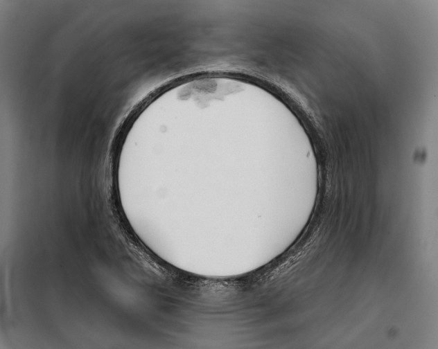 X0000099501270200806121407