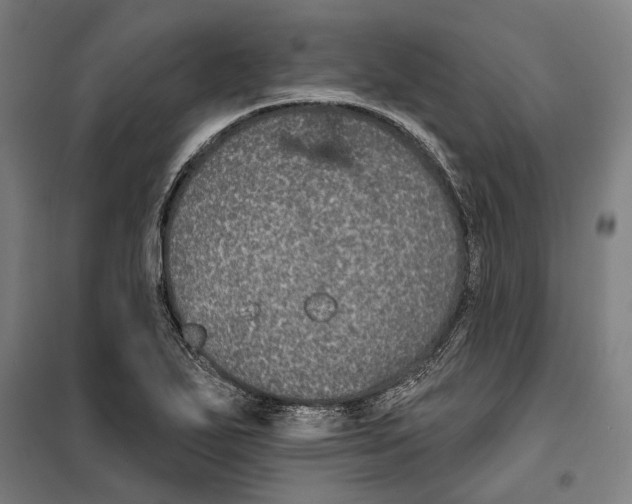 X0000099501271200806121407