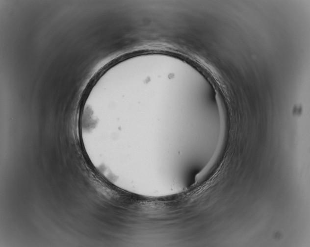 X0000099501272200806121407