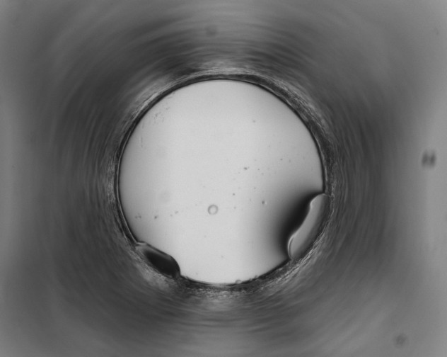 X0000099501273200806121407