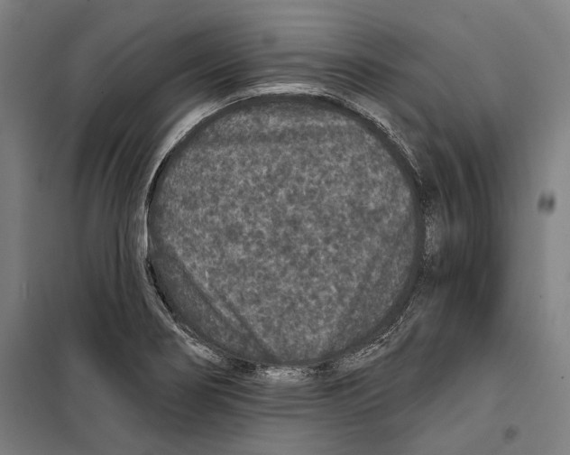 X0000099501274200806121407