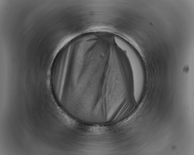 X0000099501277200806121407