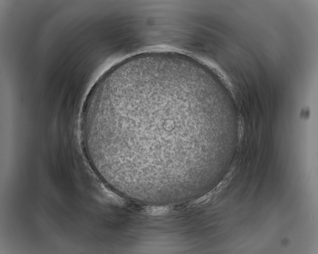 X0000099501278200806121407