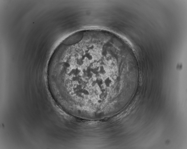 X0000099501279200806121407