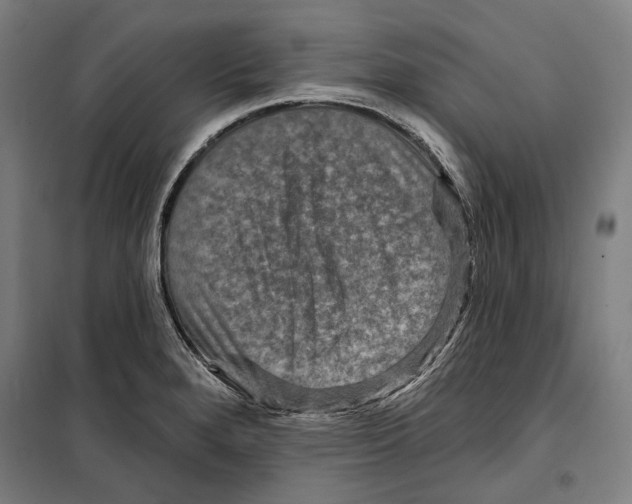 X0000099501280200806121407