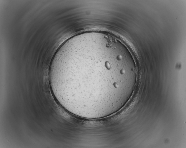 X0000099501281200806121407