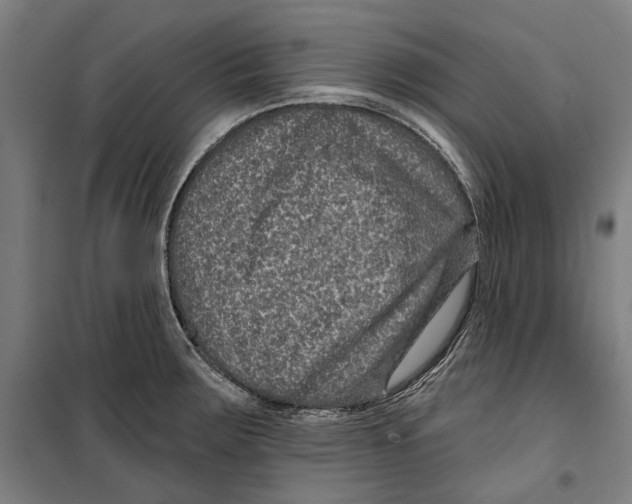 X0000099501283200806121407