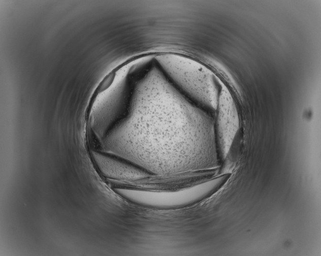 X0000099501284200806121407