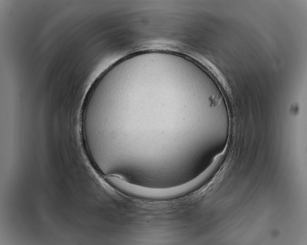 X0000099501285200806121407