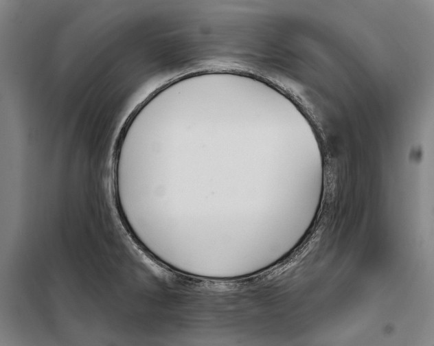 X0000099501286200806121407