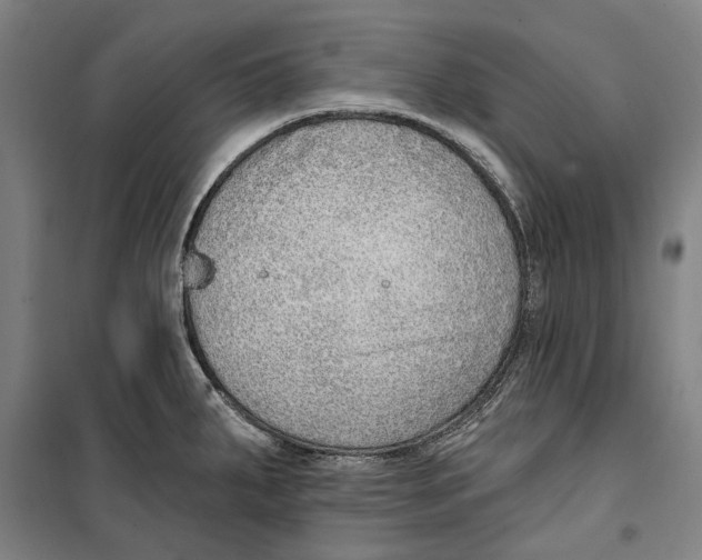 X0000099501287200806121407