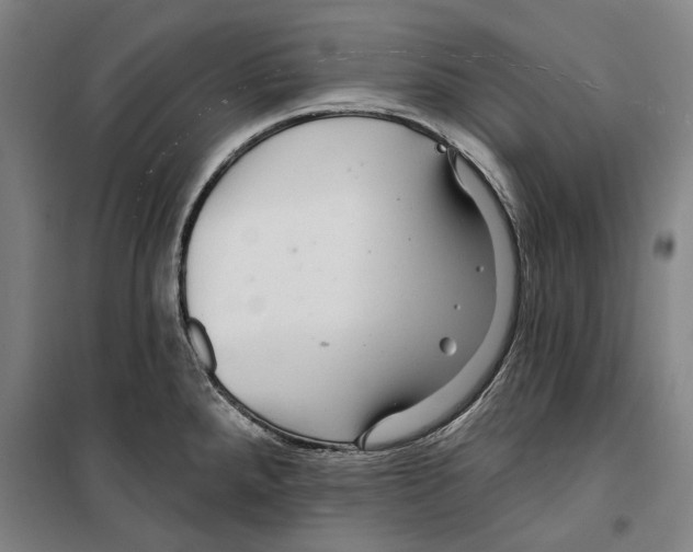 X0000099501288200806121407