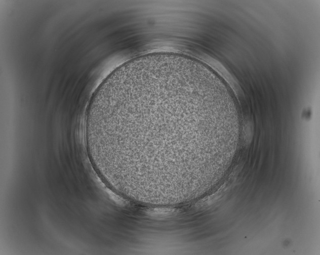 X0000099501290200806121407