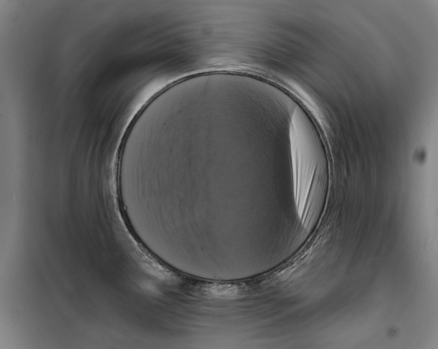 X0000099501291200806121407