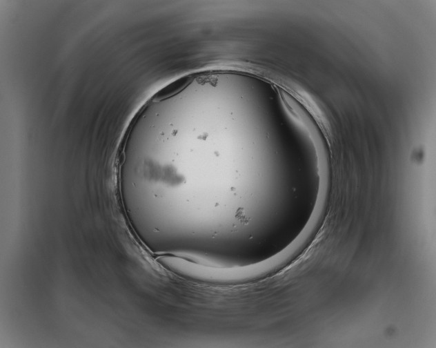 X0000099501292200806121406