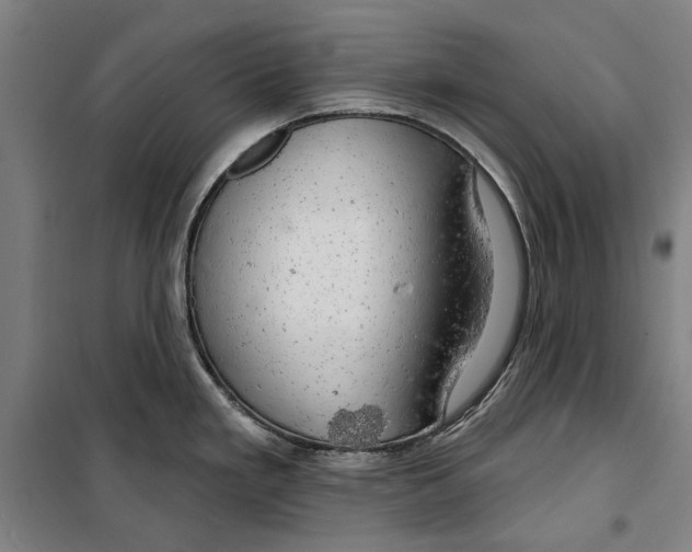 X0000099501293200806121406