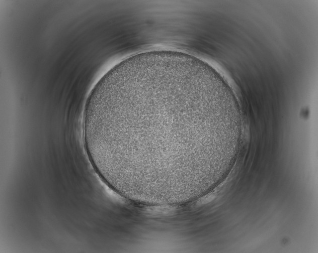 X0000099501294200806121406