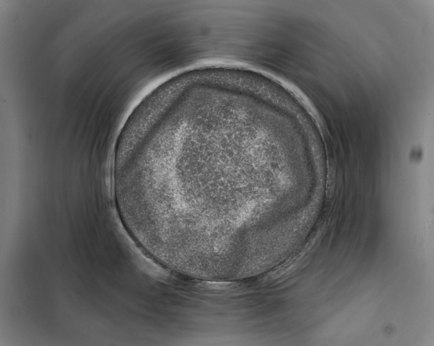 X0000099501295200806121406