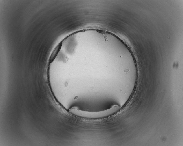 X0000099501296200806121406